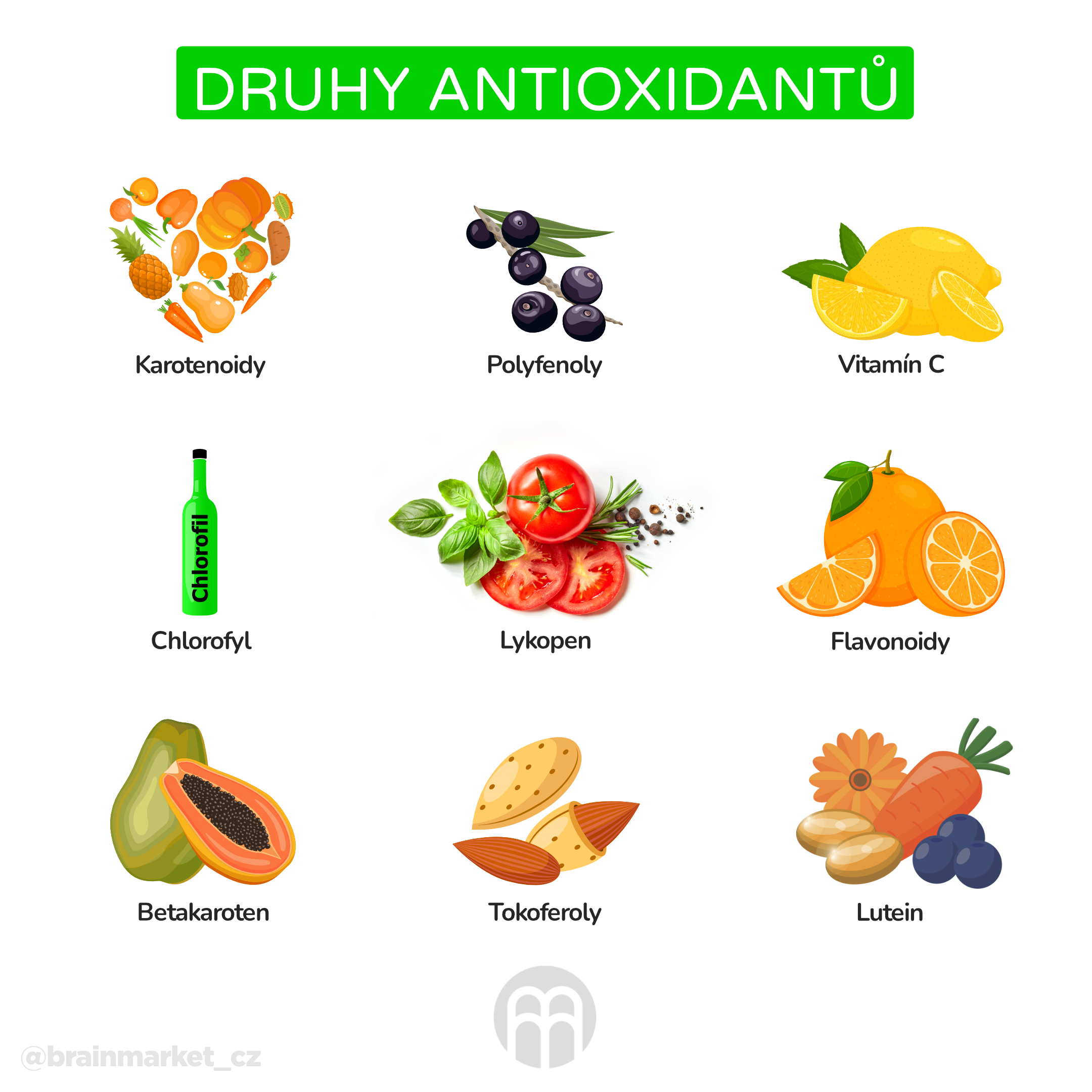 druhy antioxidantu_infografika_cz